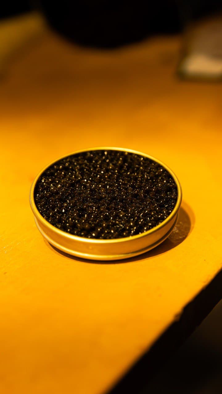 Tin of premium black sturgeon caviar