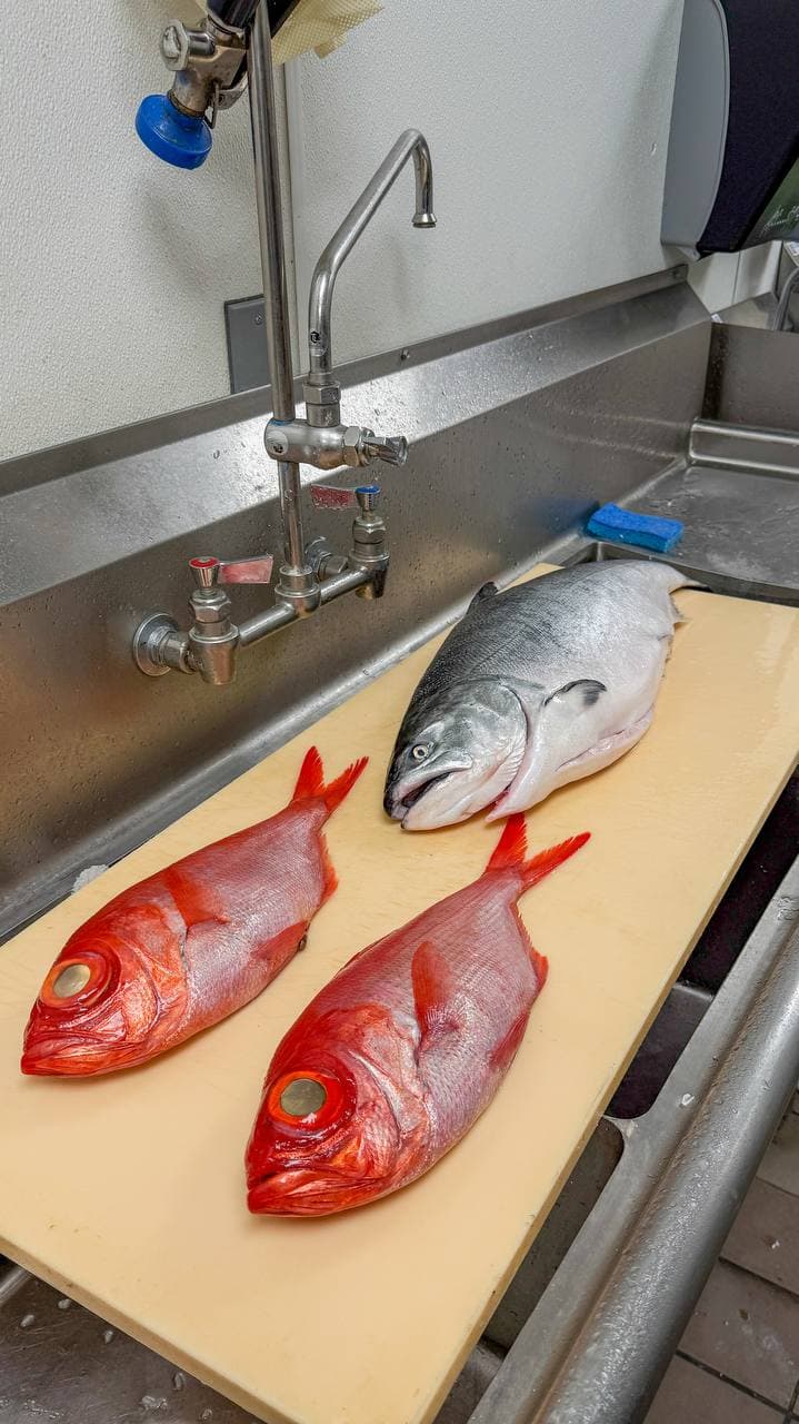 Fresh whole snappers and salmon on kitchen prep cutting board